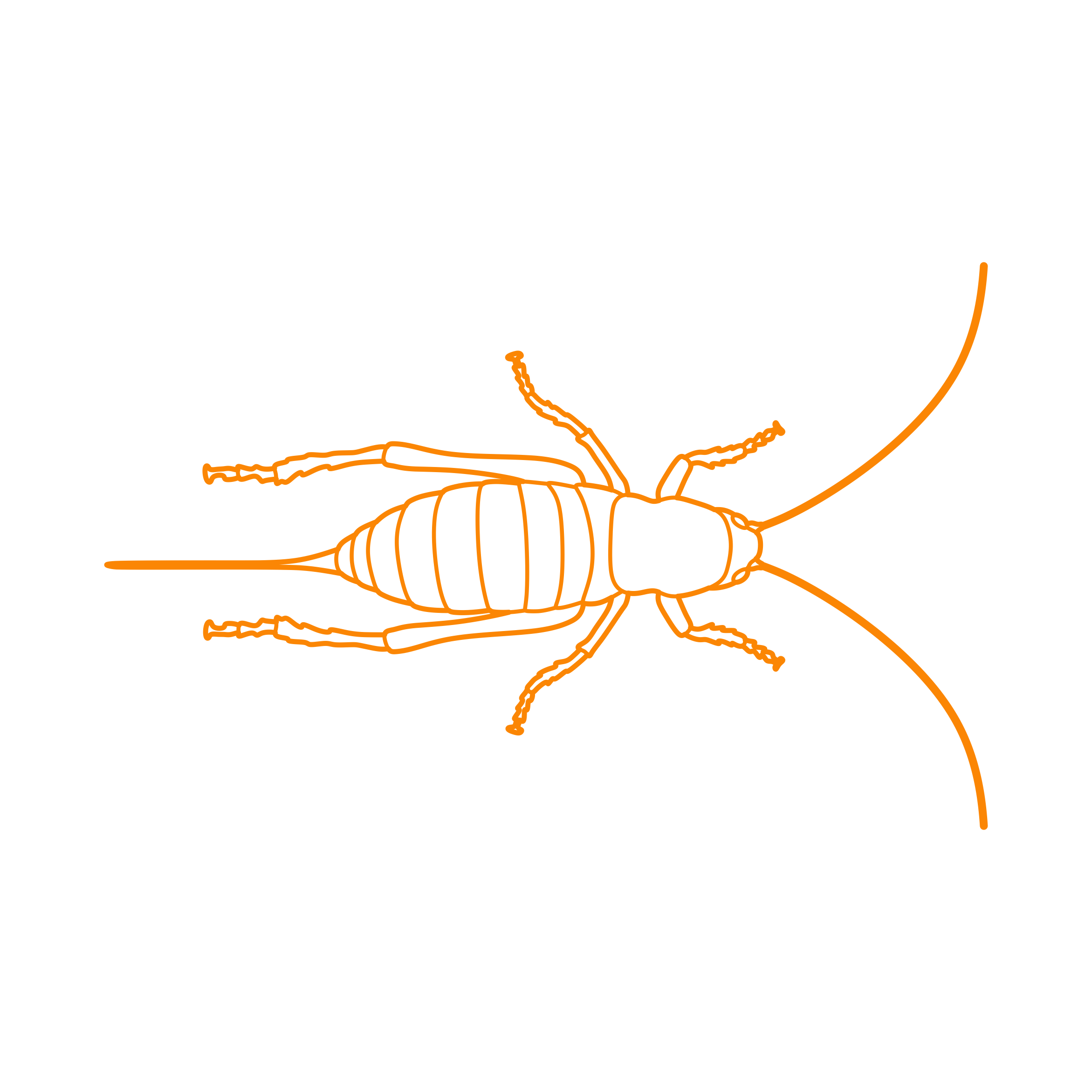 Animals Insects Mormon Cricket Tracing Svg Vector Free Vectors
